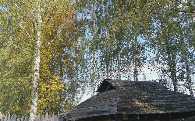 Гостевой дом Окулова Заимка