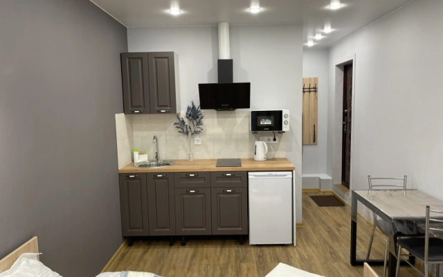 Апартаменты Трилиссера 22 (1)