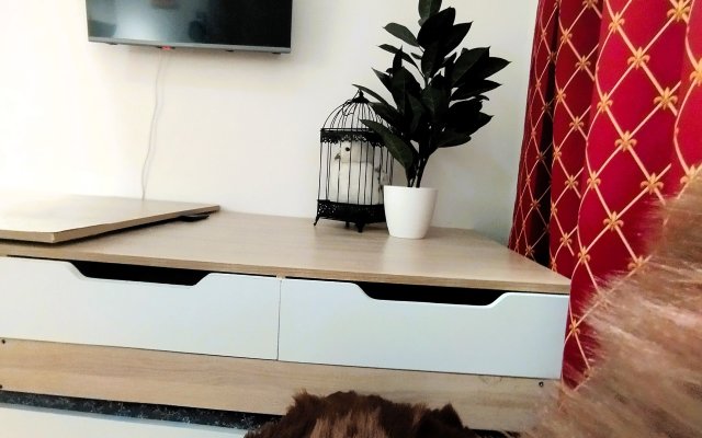 Studiya Garry Potter s divanom na rizhskoy Apartment