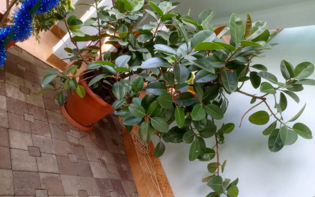 Гостевой дом Акбарс