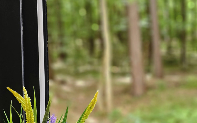 Апартаменты с Видом на Лес