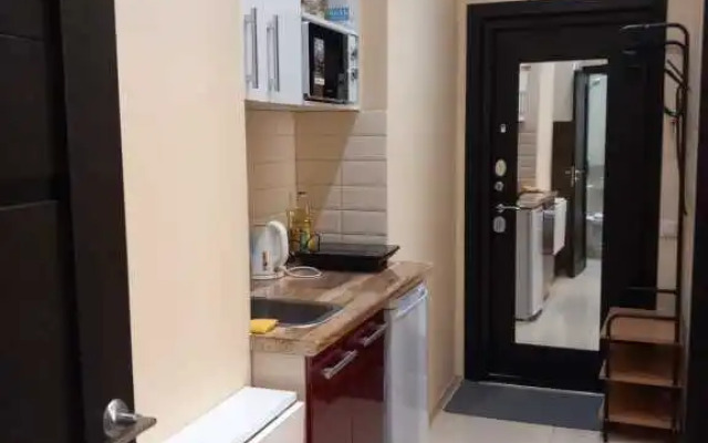 Апартаменты 4-я Советская 25 (6)