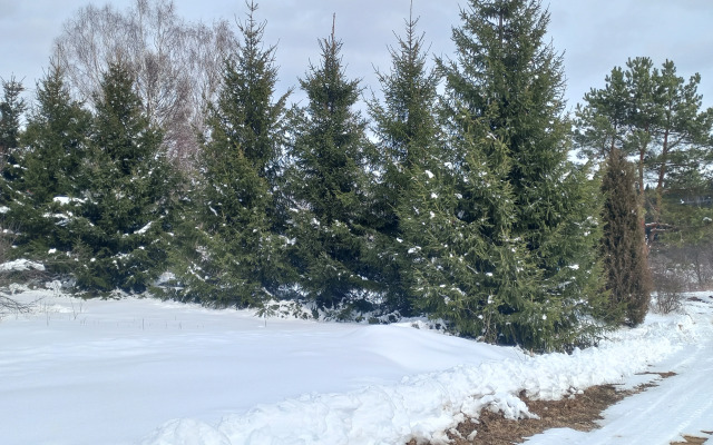 Частный дом Речная Заимка