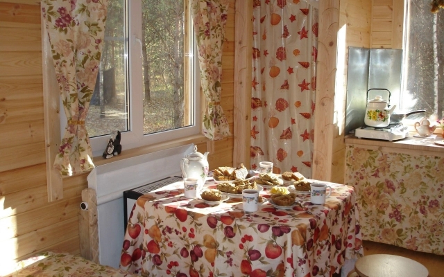 Апартаменты Уютный дом на природе в лесу