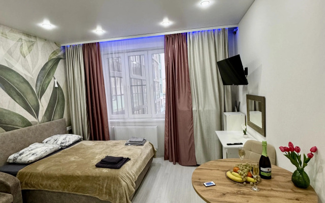 Апартаменты Уютная студия с евроремонтом