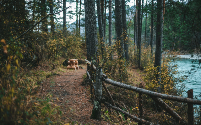 Отель База отдыха Skala
