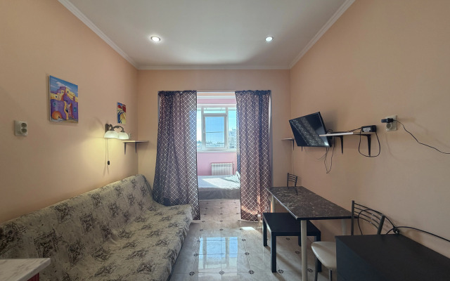 Апартаменты Уютная студия с кроватью и диваном