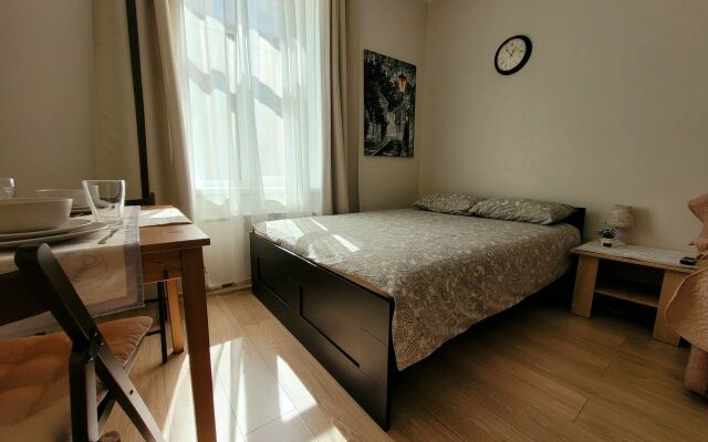 Квартира - студия в иcтoричeскoм цeнтре Санкт-Пeтеpбургa (4)