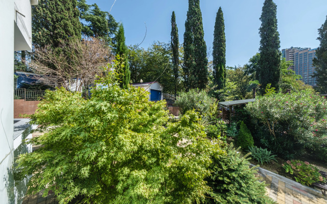 Luxury v Tsentre Sochi Flat