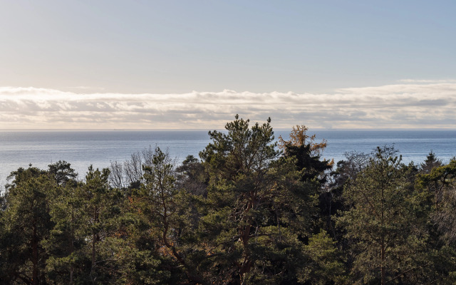 Апартаменты Видовые с видом на бассейн залив и лес