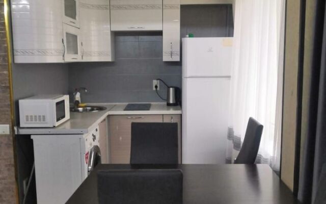 Na Ulitse Botvina 8 Flat