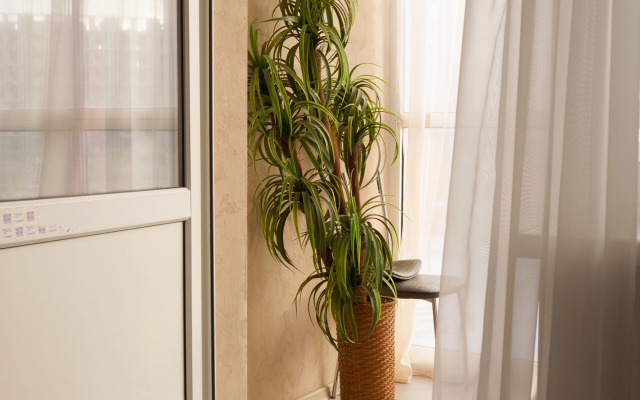 Квартира Right Room на Фомушина 31 Правобережье