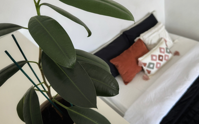 Квартира Студия Atmosfera Sna у Аквапарка