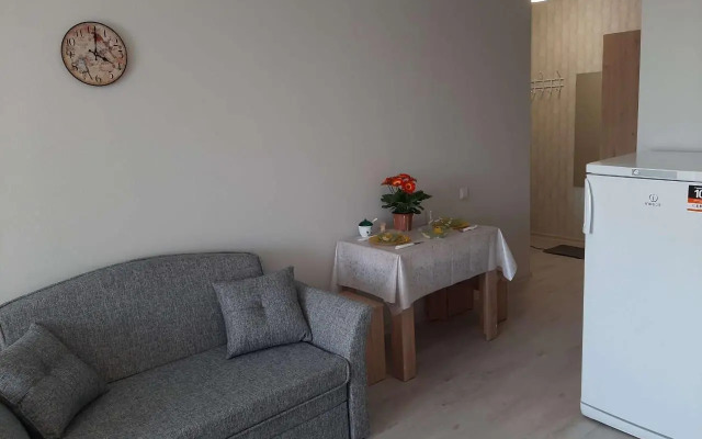 Квартира студия на 24 этаже