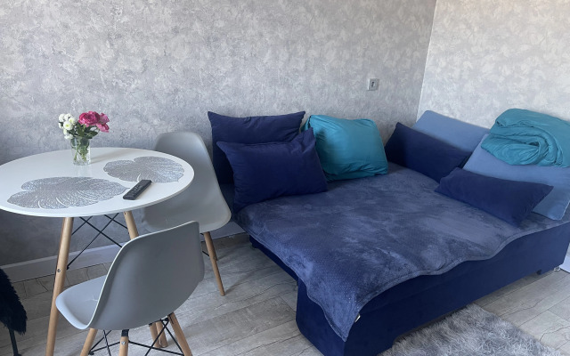 Квартира студия с видом на реку