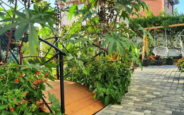 Belaya Dacha Guest house