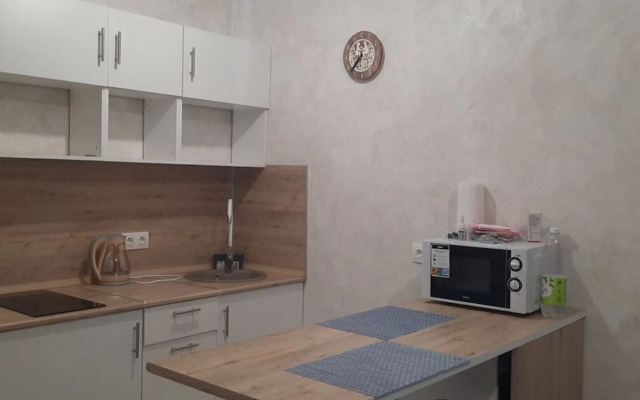 Квартира на Притомском проспекте 25