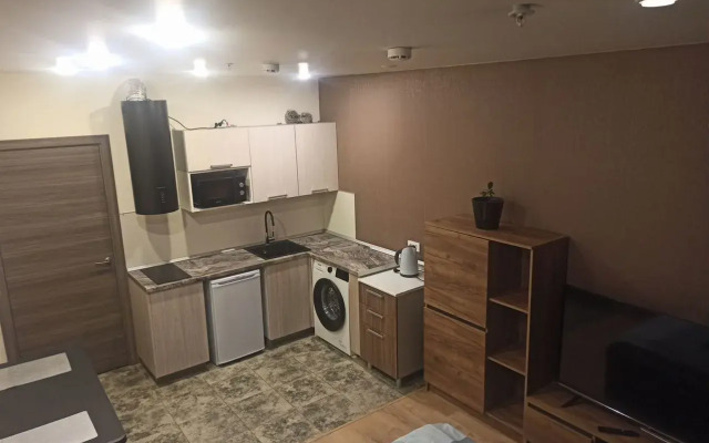 Квартира Современная Однокомнатная