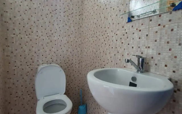 Abaza Guest House