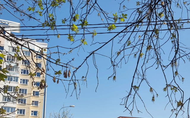 Kuskovo Space Apartments