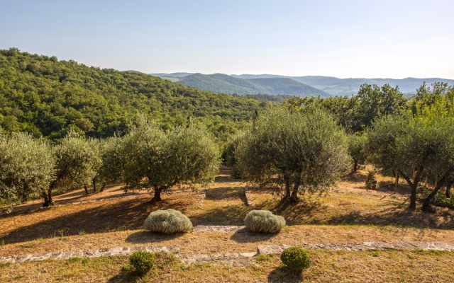 The Cosoli Villa