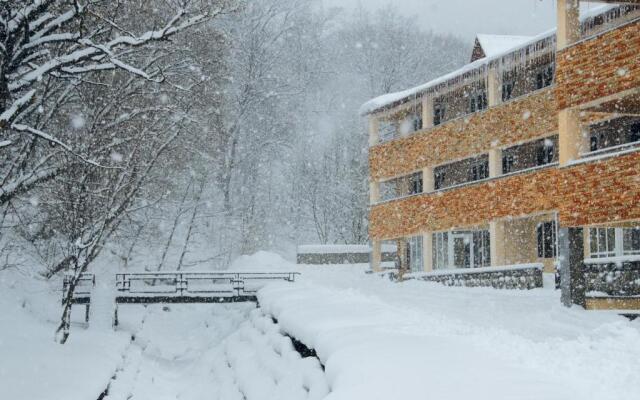 Отель Цахкаовит