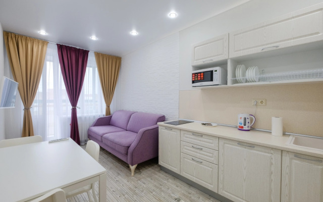 Апартаменты Петровские на Советской 90 (8)