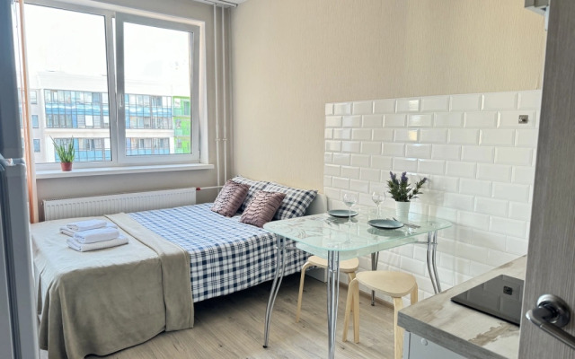 Studiya Standartnaya Layk Mily Dom Apartments