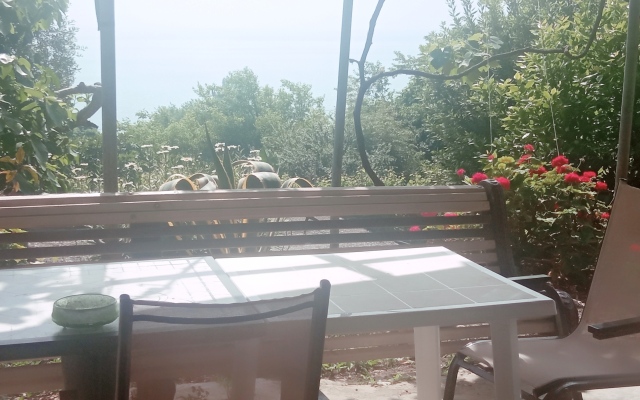 Mimoza Guest House