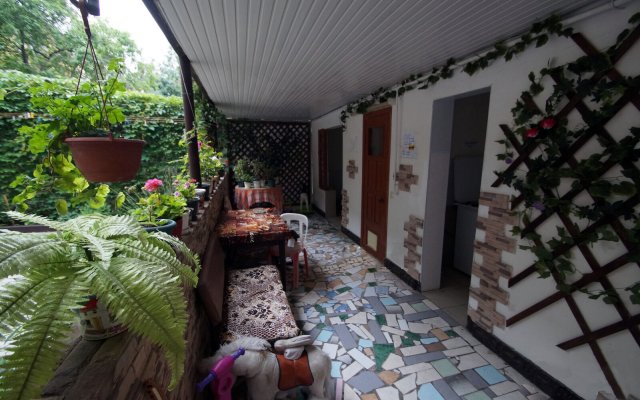 Yelena Guest House