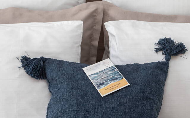 Квартира на Елизаветинской 5