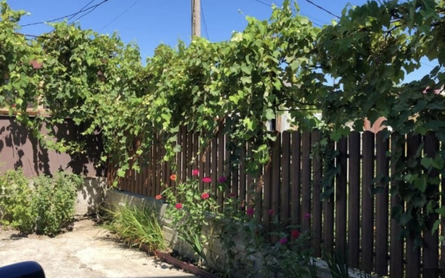 Alisa Guest house