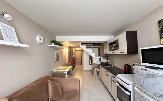 Dvukhurovnevye 49 M2 Apartments
