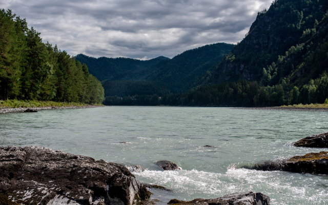 Гостевой дом АЛТАЙ БЕРЕГ ИП Рожнова Л.В.