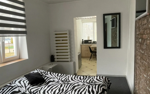 Dlya Dvoikh V Istoricheskom Tsentre Goroda Apartments