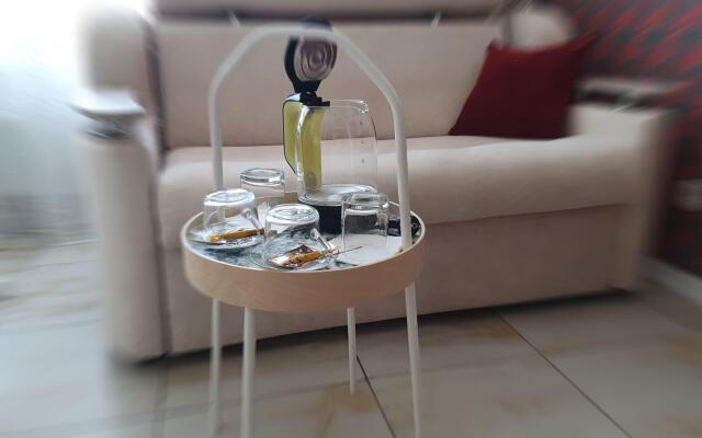 Квартира Рантье ЖК Центральный на Буденного 1