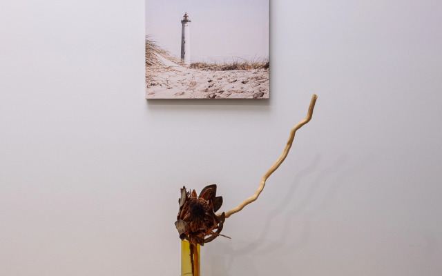 Квартира Большая дизайнерская около музея Мирового океана