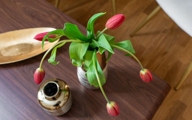 Guest house Decimo Meridio- At Spanish Steps-