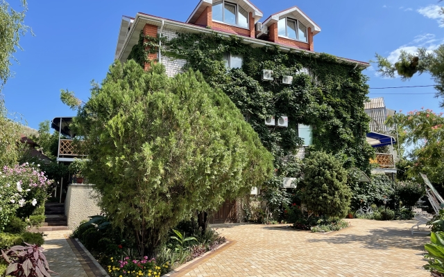 Yolki Guest House