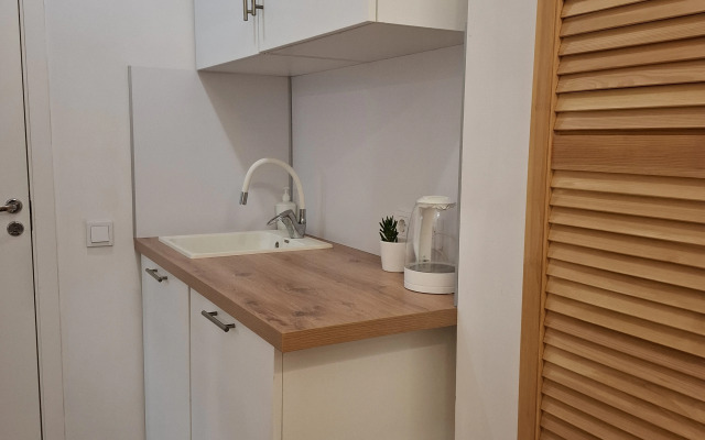 V gostyah u mastera Apartments