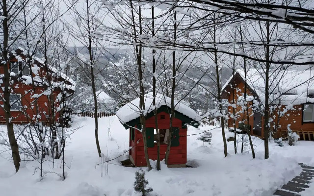 Шале Дрозды