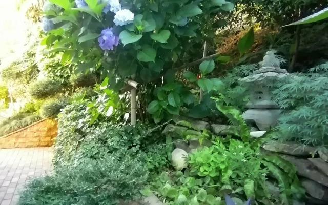 Evkalipt Guest house