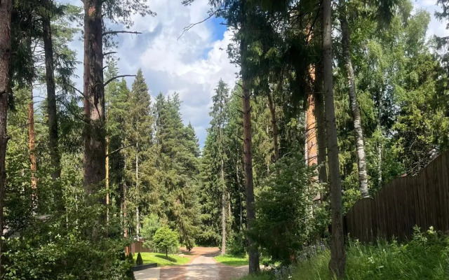Uyutny Dom V Sosnovom Lesu Private house