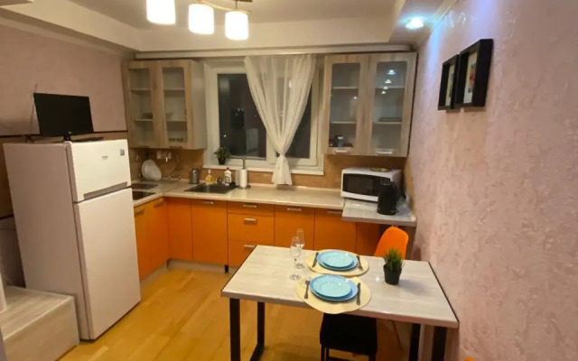 Апартаменты с 1 Комнатой с Красивым Ремонтом и Видом на Город (КВАРТИРА51)