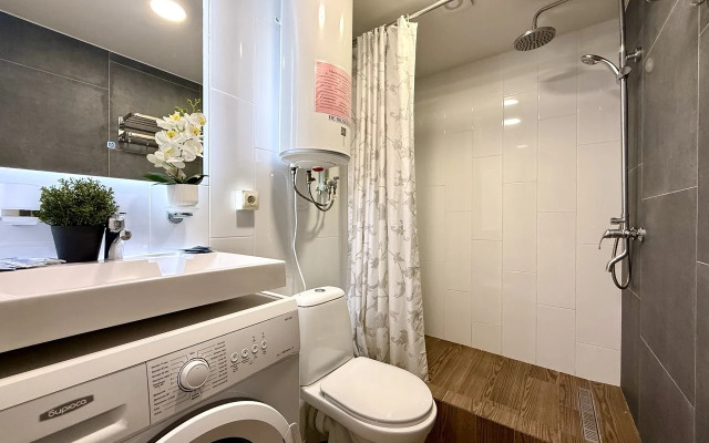 Апартаменты 1 Стандарт на мансардном этаже