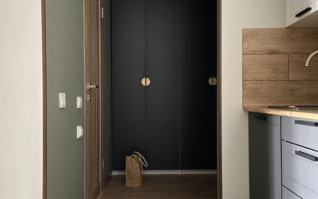 Uyutnaya na Naberezhnoj Ryadom s Termami GreenFamily Flat