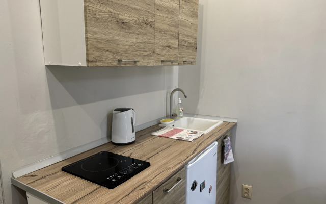 Studiya v tsentre goroda Flat