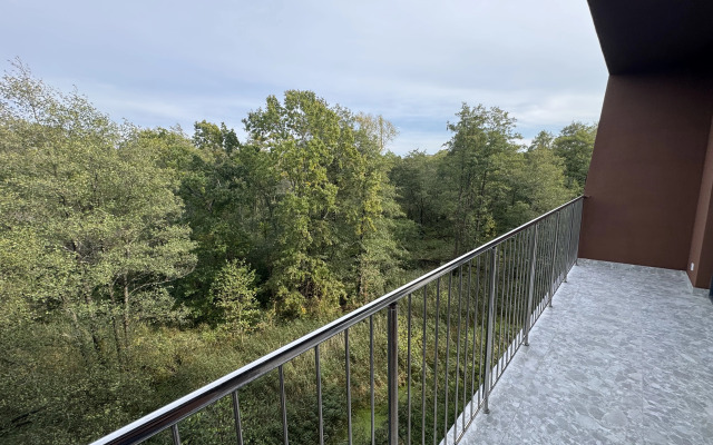 Апартаменты с видом на парк Куршская коса