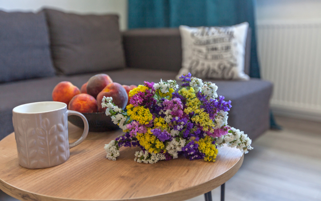 Komfortabelnaya S Krasivym Vidom Flat