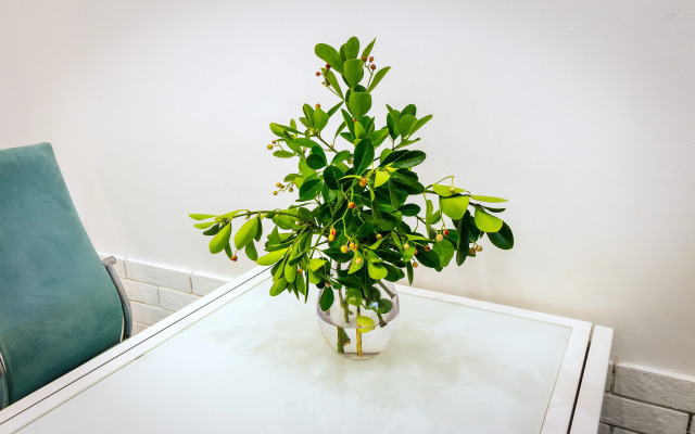 Na Nesebrskoy Flat 5